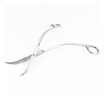 

Water purification plant scissors in steel aquarium