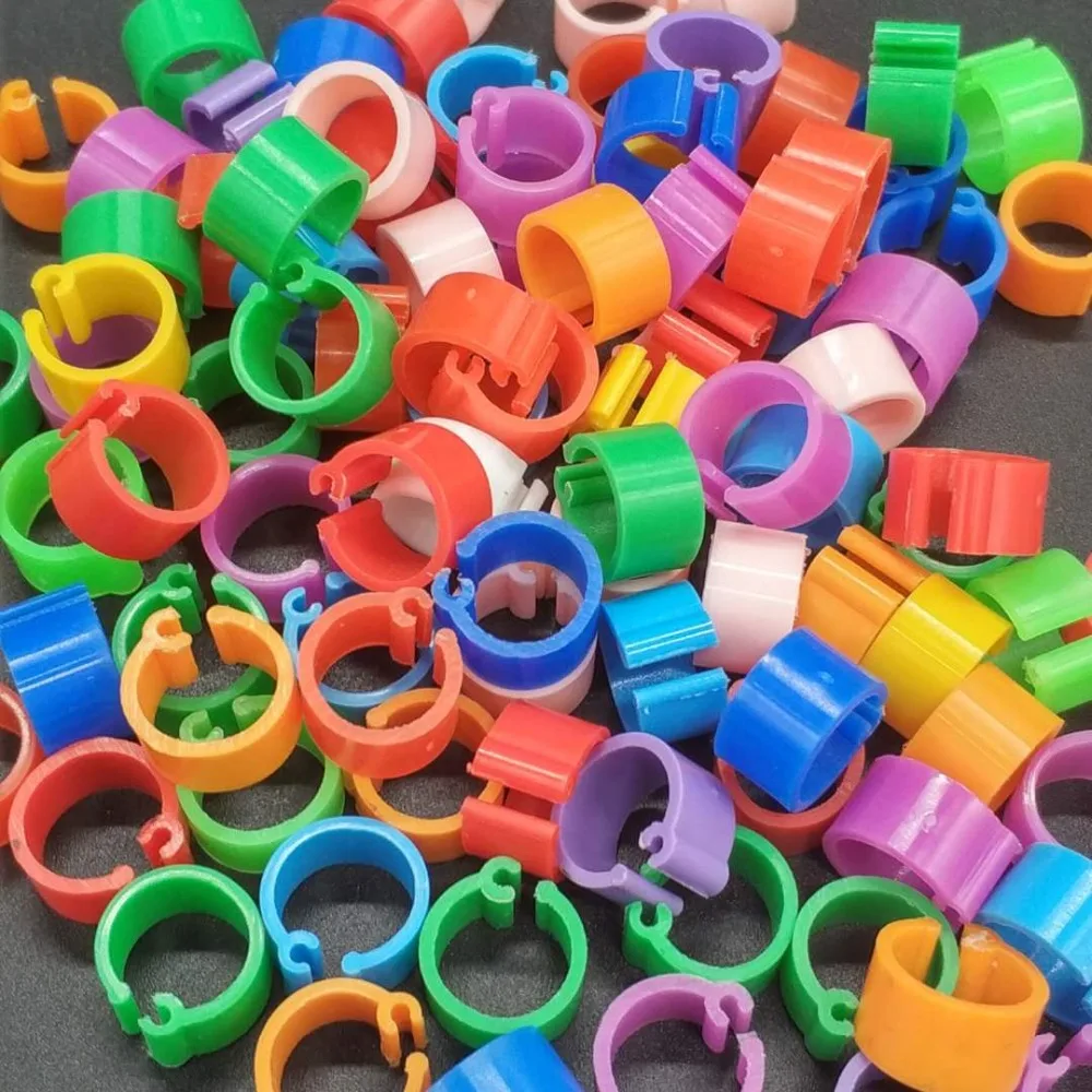 100 Pcs Racing Pigeon Leg Ring Band Tag Clip with Place Name /& Number Red
