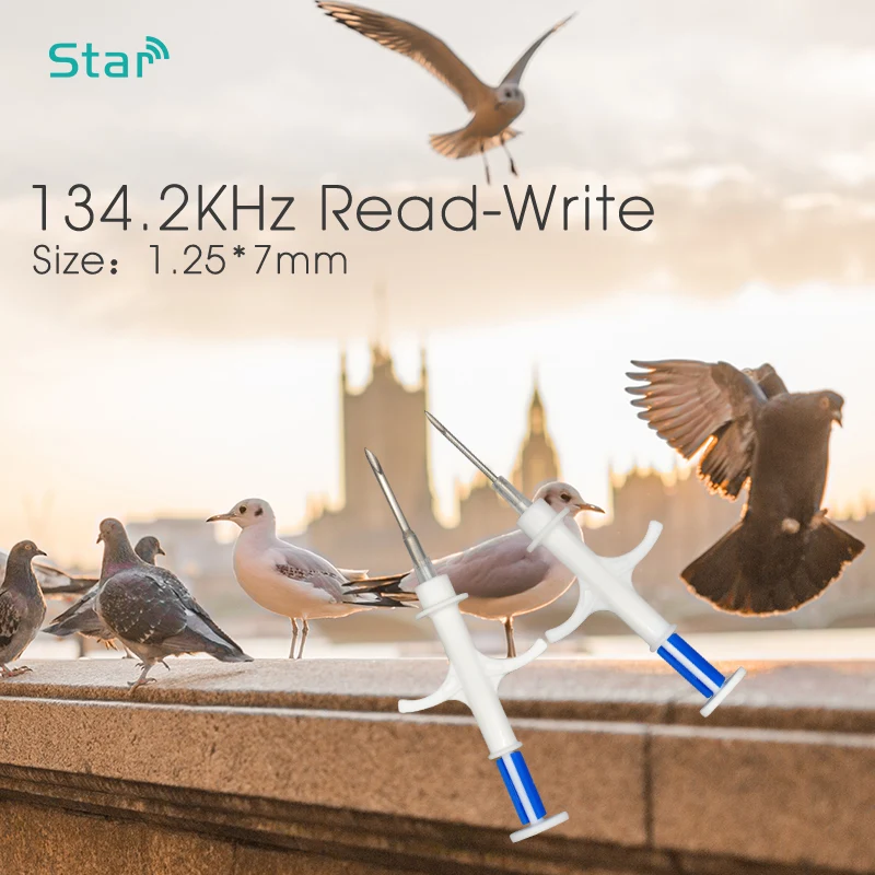 Animais de Estimação seringa ISO11784 tamanho Mini animais de estimacao seringa iso11784 tamanho mini 02