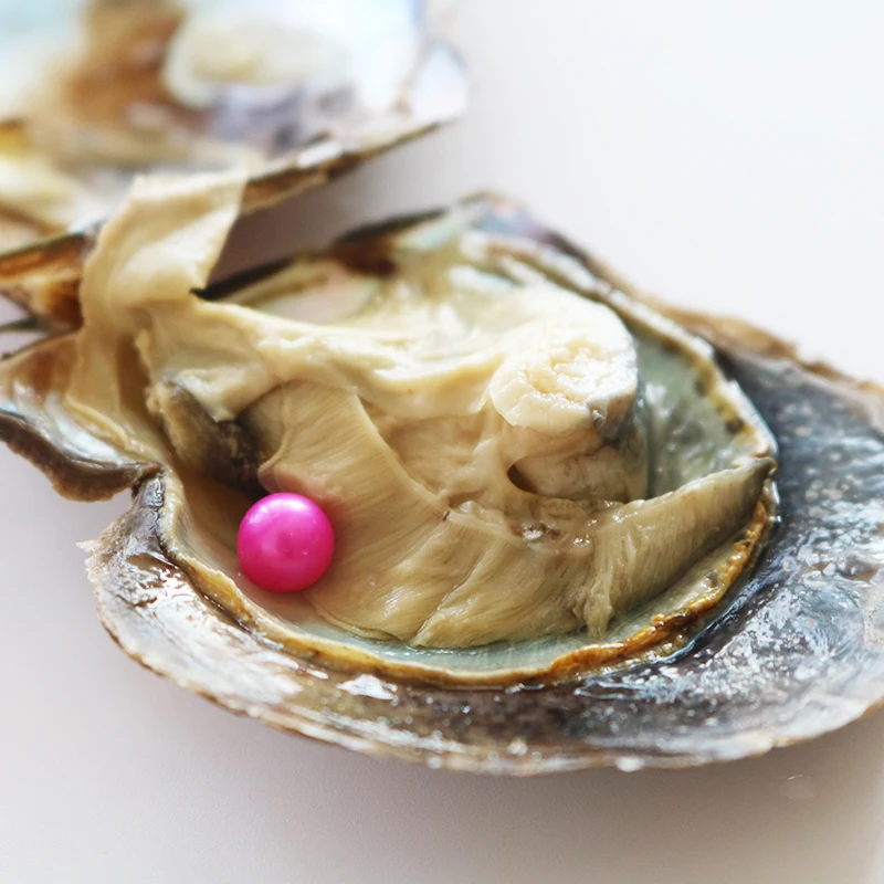 

50pcs Single 6-7/7-8mm Akoya Hot Pink Pearls in Oysters Vacuum-packied Bright Colorful Round Beads for Jewelry Making