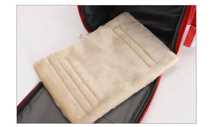 pet carrier (12)