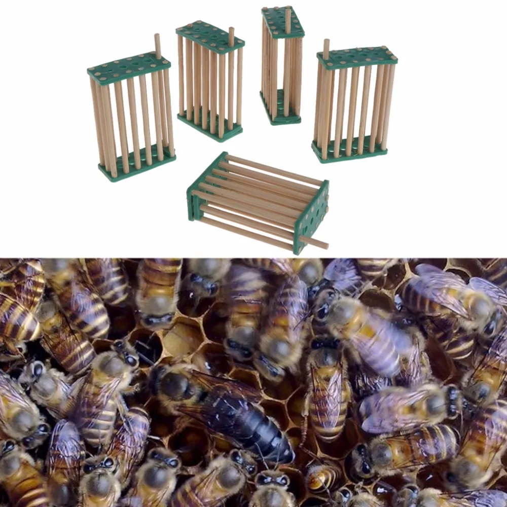 

5Pcs Bee Queen King Cage Beekeeping Kit Bamboo Multifunction Prisoner Hive Tools Beekeeper Equipment Tool C42
