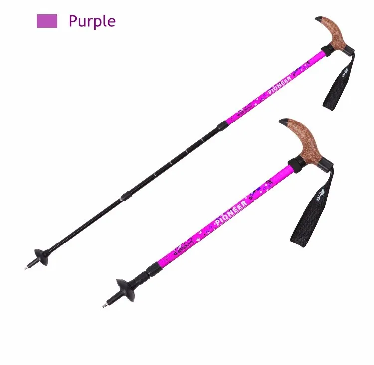 Скандинавские палки. 5. Складная палка. Туристический посох(альпеншток). Отличие лыжных палок от палок для скандинавской ходьбы.