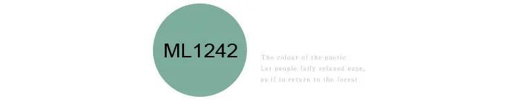 D_26