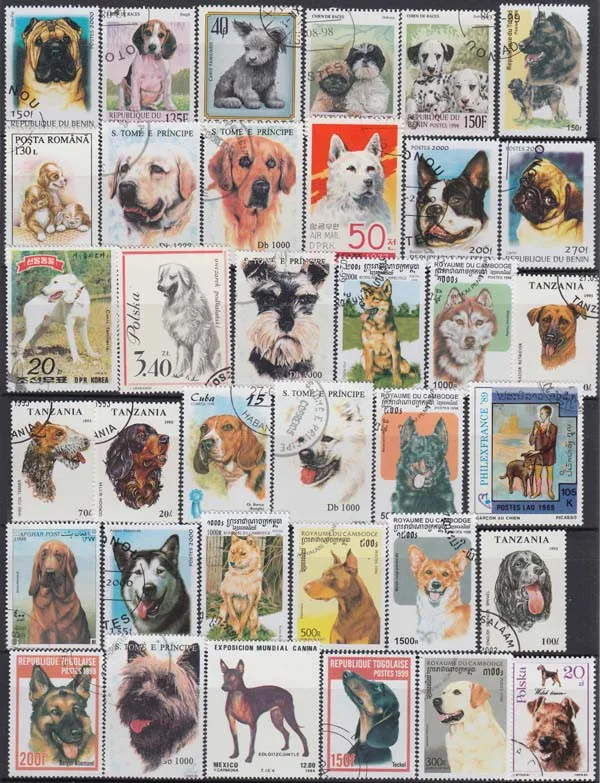 Собаки, 100 шт./лот, все разные животные не используются с почтовой маркой в хорошем состоянии почтовые марки среднего и большого размера