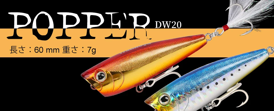 DW20-Y_01