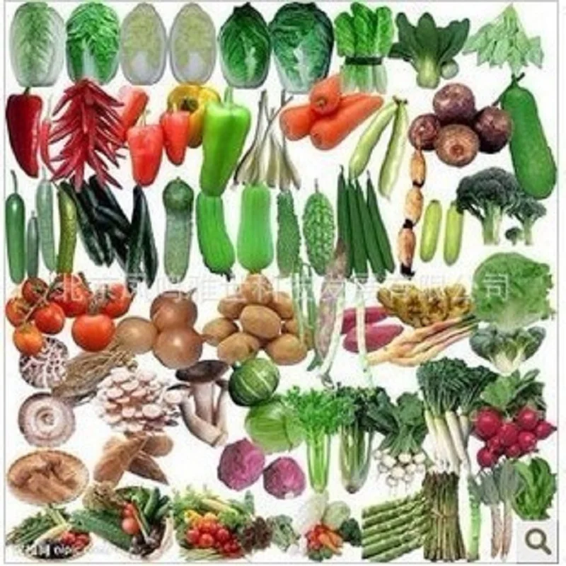 

Balcony vegetables package bonsai mix hot organic vegetable bonsais 50bonsai