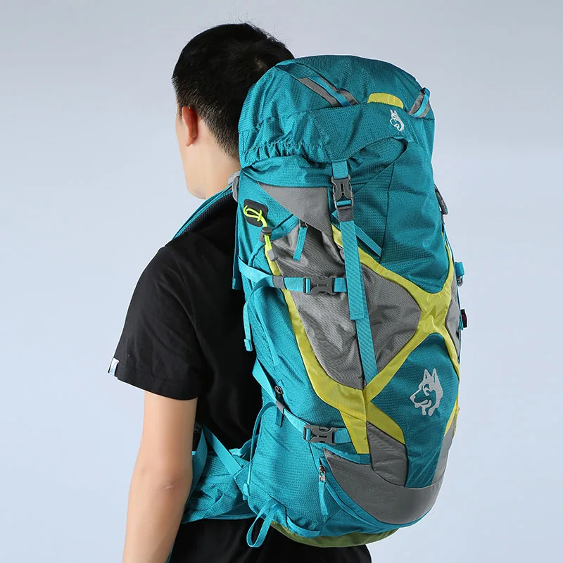 High Quality 65L Outdoor Rucksack Hiking Trekking Backpack Molle Bags For Tourist Travel Mountain Camping Backpacks Bag