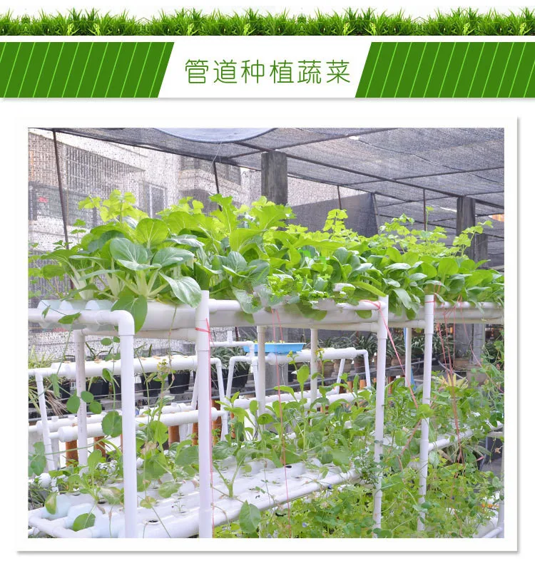 NFT Hydroponics system with 90pcs of net cup. Home hydroponics system. Nutrient Film Technique (NFT) NFT Hydroponics system with 90pcs of net cup. Home hydroponics system. Nutrient Film Technique (NFT)