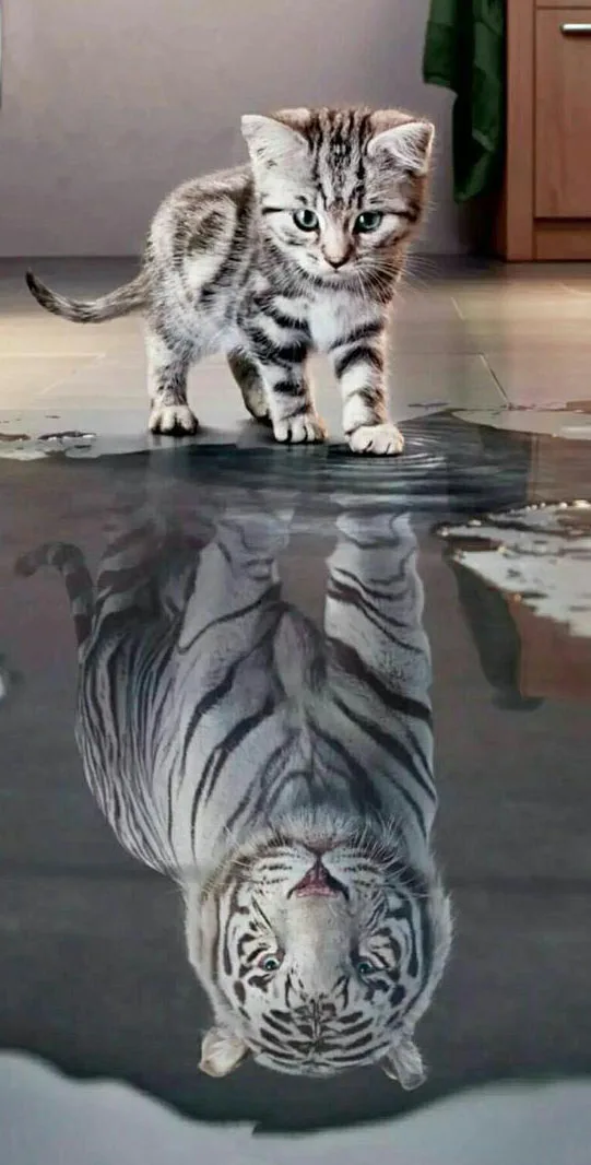 Buy 5D DIY Diamond Painting Elephant