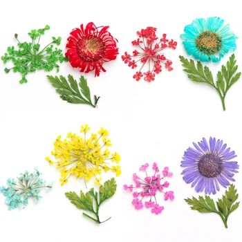 

Random 4 BOX Beauty Dried Flowers Leaf UV Resin Epoxy DIY Natural Floral Sticker 3D Dry Nail Art Decals Jewelry UV Gel