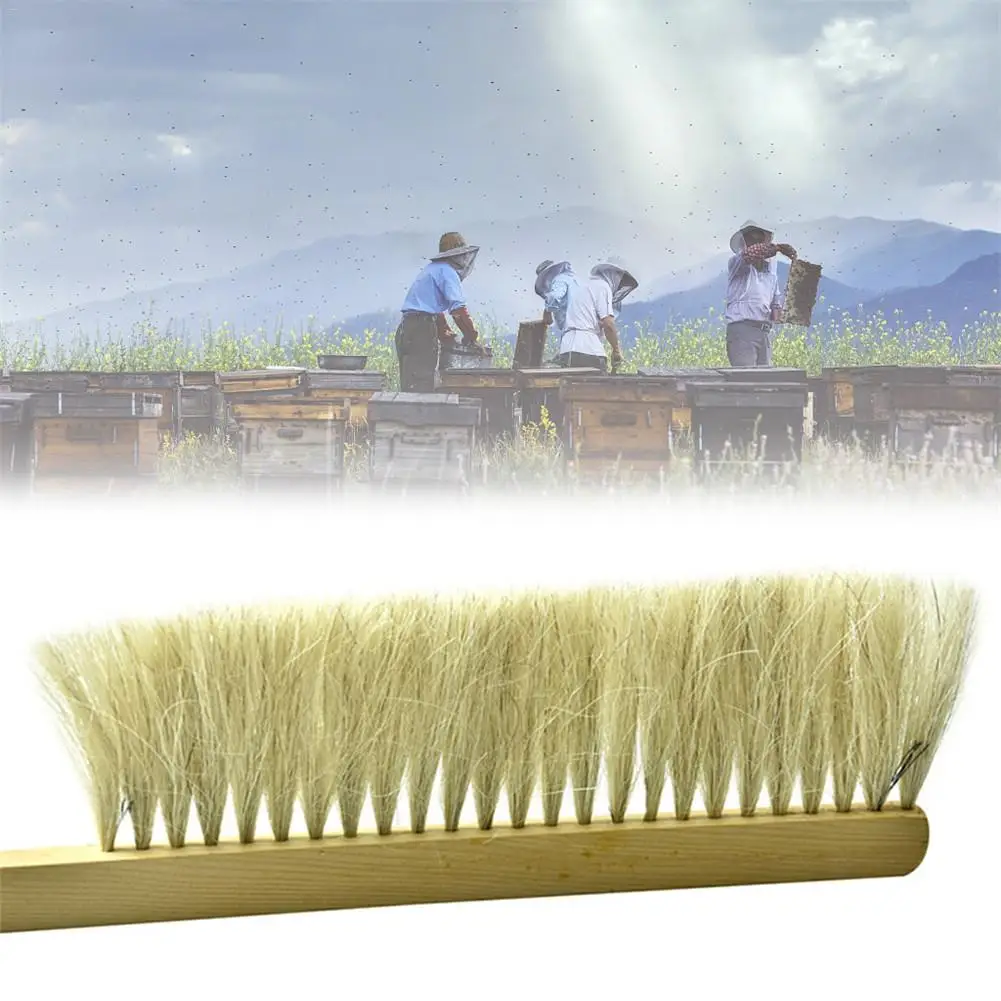 

Beekeeping Tools Wood Wasp Sweep Brush Two Rows Of Horse Tail Hair New Bee Brush Beekeeping Equipment