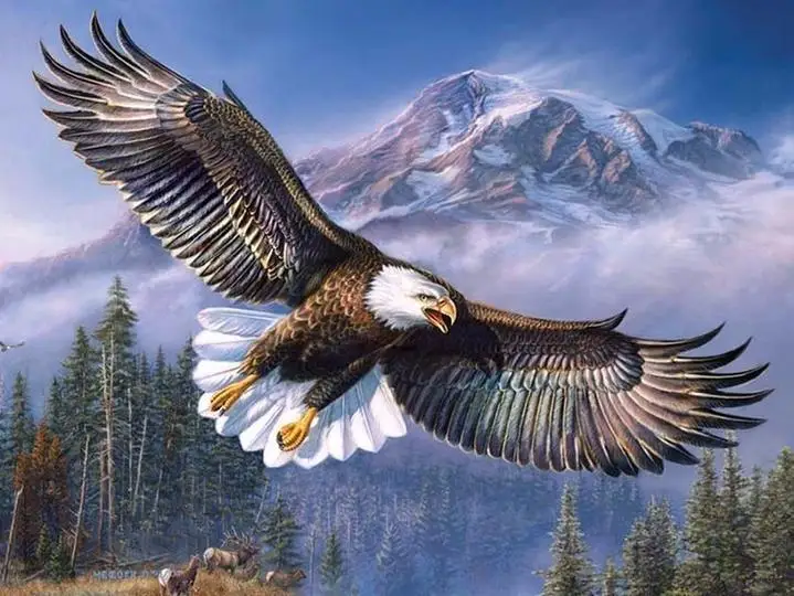 Flying Eagle Diamond Painting Kit - DIY | Дом и сад