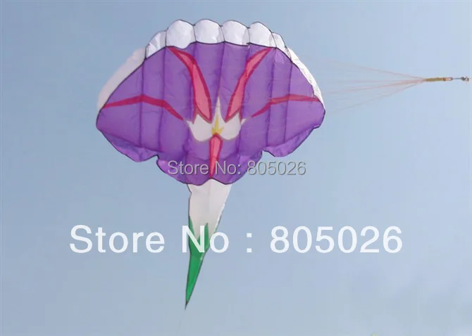 

free shipping high quality soft ktes Morning Glory kite beautiful in sky hot sell child love with handle and line outdoor toys
