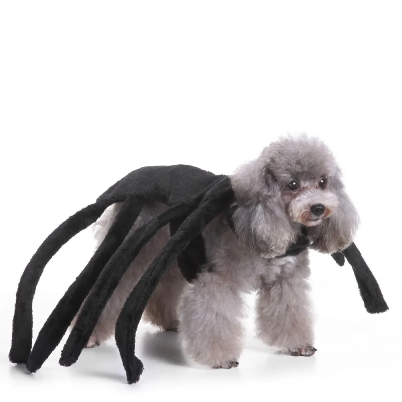 Симпатичные Хэллоуин Одежда для собак Рубины Костюм Компания Pet паук жгут Костюм Коллекции Святой собака костюм Одежда для животных