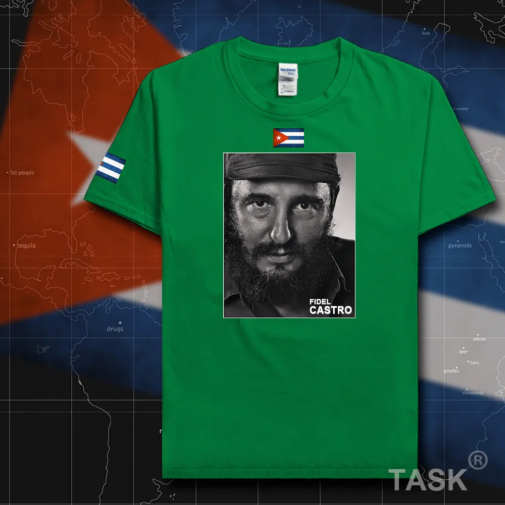 HSPE_Castro05_T01irishgreen