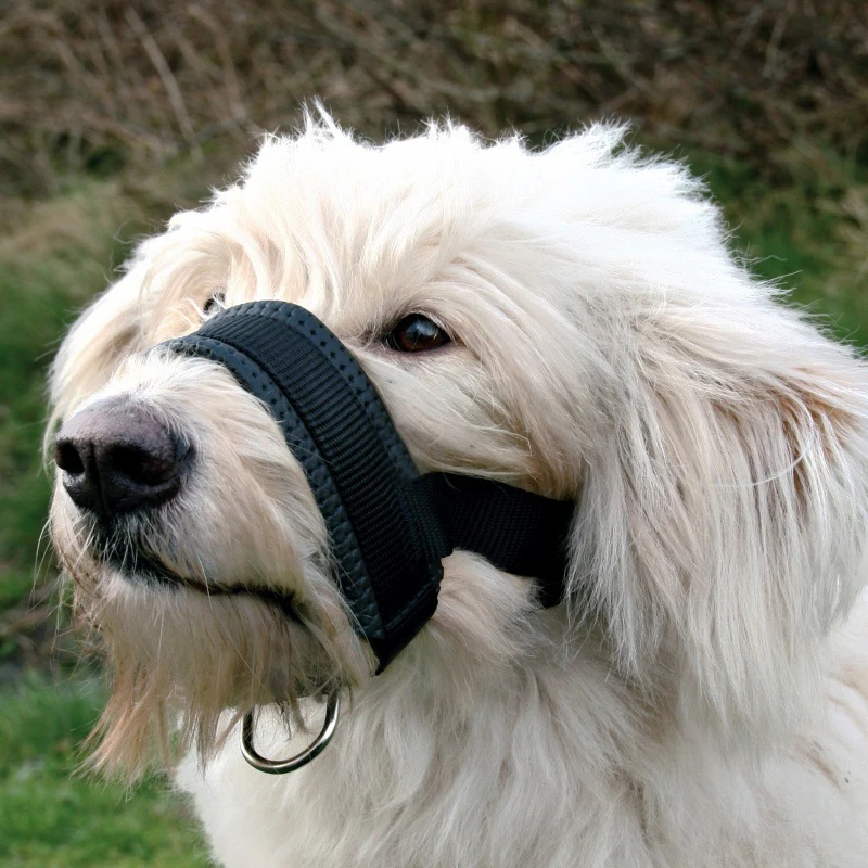 

Nylon Dog Muzzle for Small Medium Large Dogs Prevent from Biting Barking and Chewing Adjustable Loop