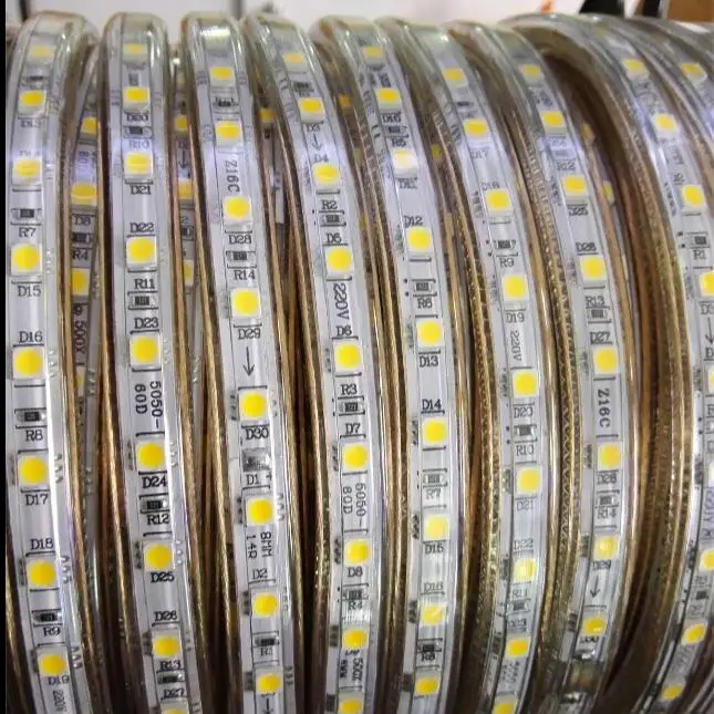 cheap AC 220V LED Strip Light SMD 5050 60leds m IP67 Waterproof LED Flexible Tape 1M 2M 3M 4M 5M 6M 7M 8M 9M 10M 15M 20 + Power Plug