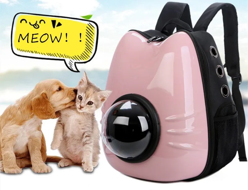 cute Cat carrier (6)