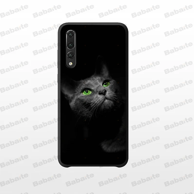 Black Cat Staring Eye