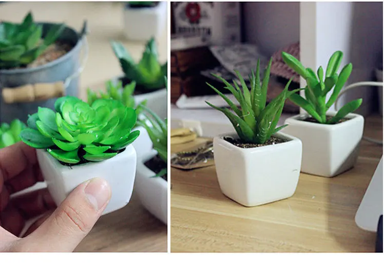 Furnishings green artificial plant bonsai fashion small succulent