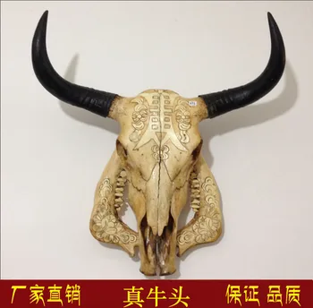

head Arts Crafts Yak skull handicraft, genuine ox head ornament, cattle and sheep skull specimen, characteristic handicraft, ox