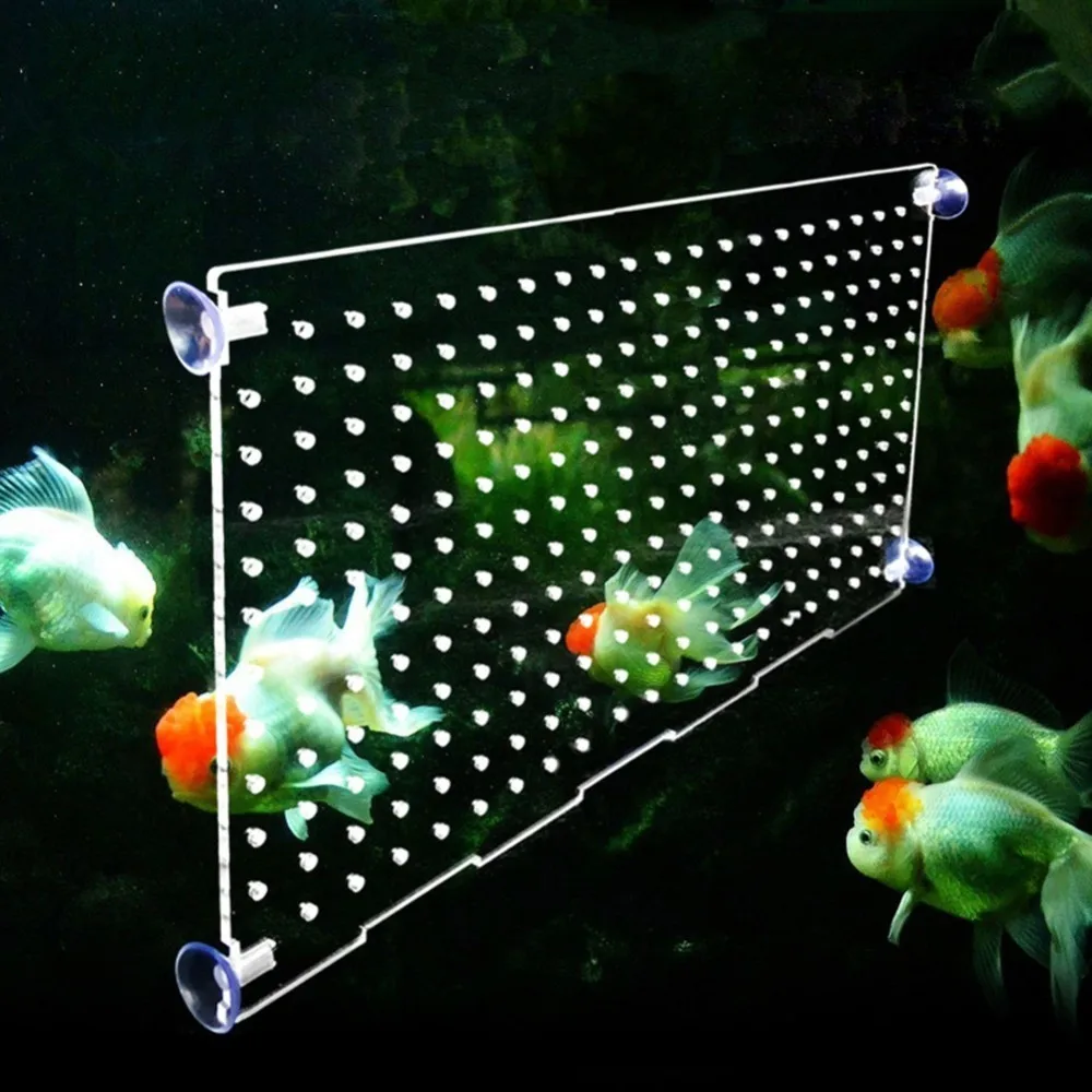 Buy Aquarium Acrylic Fish Tank Isolation Board Small