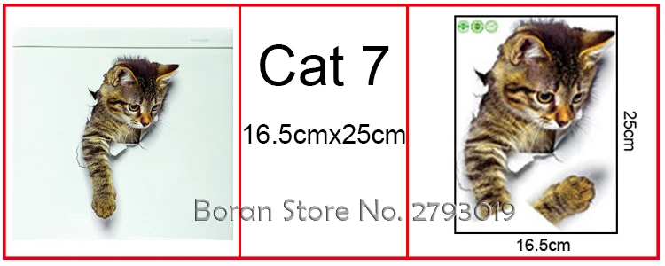 cat 7-1