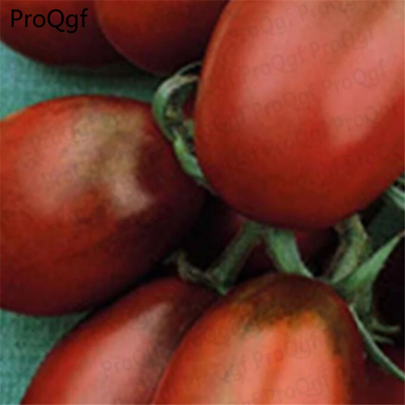 

80000Pcs A Set De Barao Chornyy-De Barao Black tomato fruit