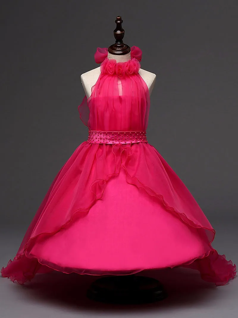 2695623376_1933995610