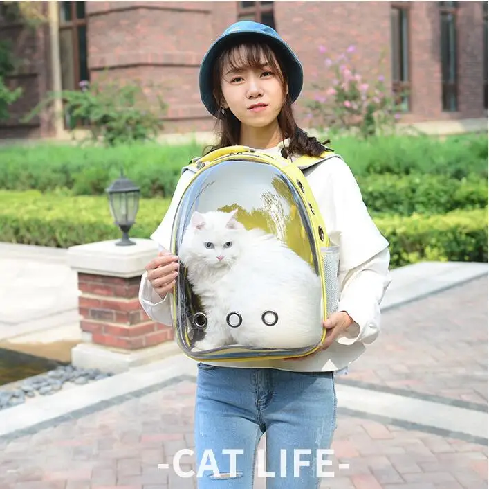 QQ20181130155526