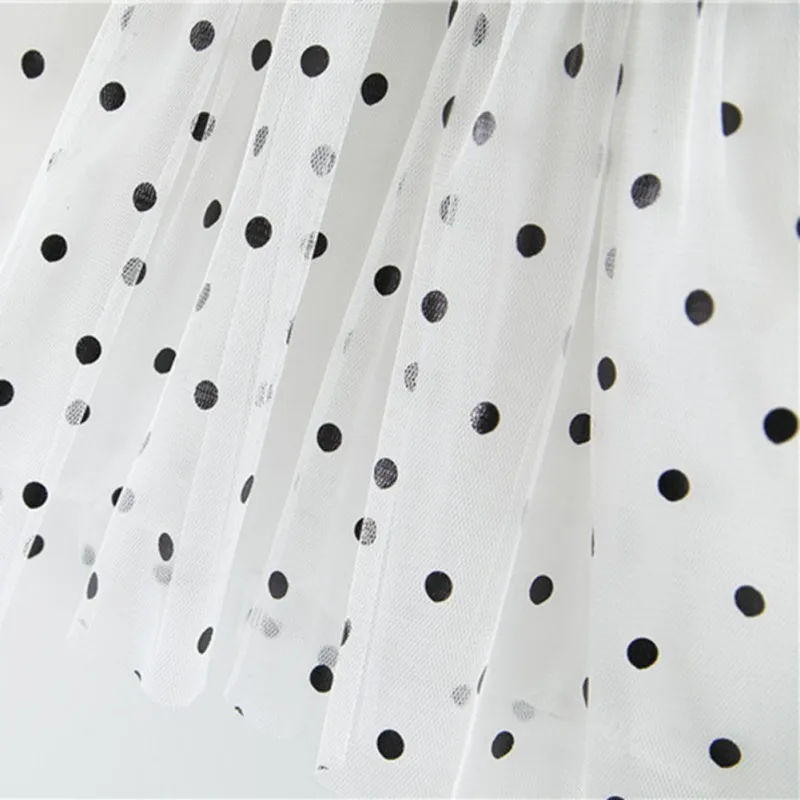 XL2667 (6)