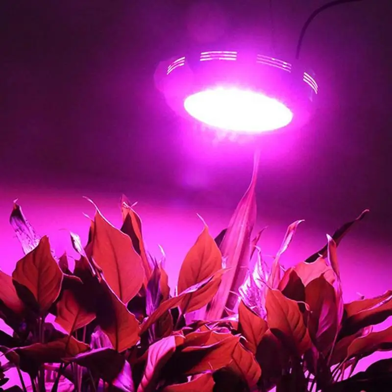 

Double Chips AC85-265V 720W Red Blue warm white white IR UV LED