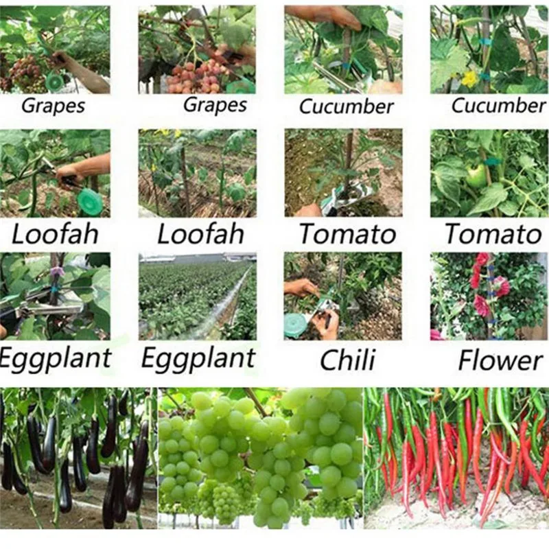 Ветка связывает огурец мускадин ленточный инструмент лоза стволовых фруктов Tapetool Tapener виноград помидор багажник рука связывания Кол питомник