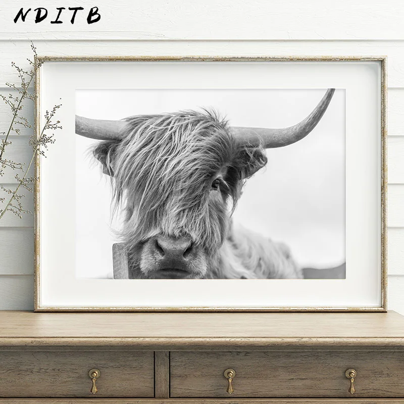 Various Sizes BULLS HEAD COW BLACK AND WHITE Canvas Wall Art Framed Print