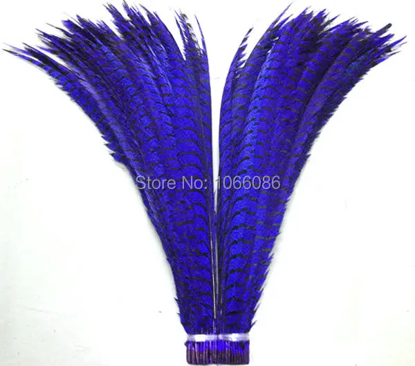 

EMS free shipping 80pcs 30-35inch 80-90cm Royal Blue dyed pheasant tail feather,Lady amherst side tails,pheasant feather