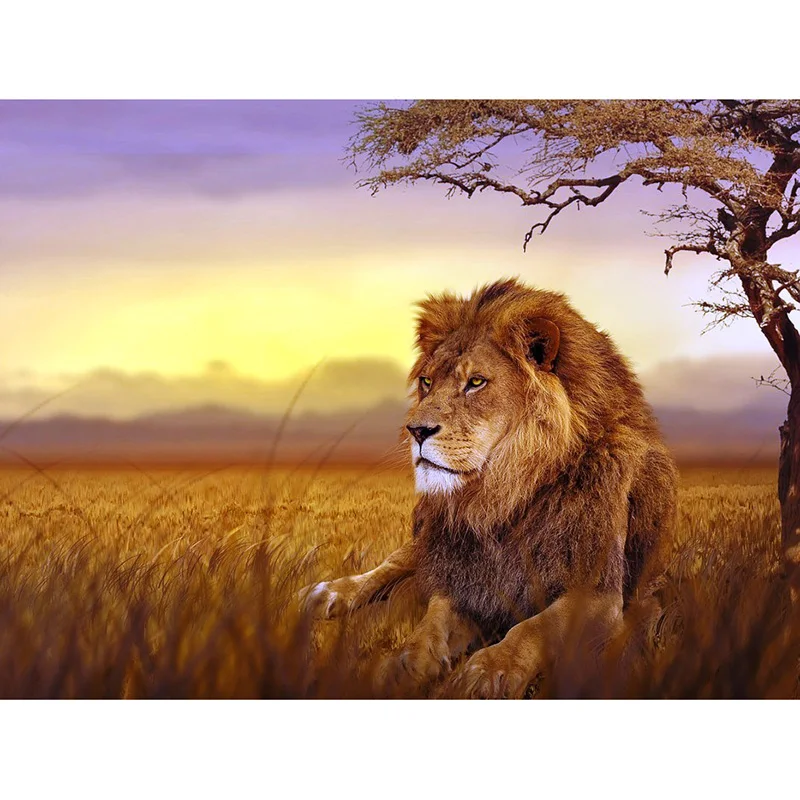 Full square diamond 5D  diamond embroidery Lion under the sunset diamond painting cross stitch rhinestone mosaic decoration