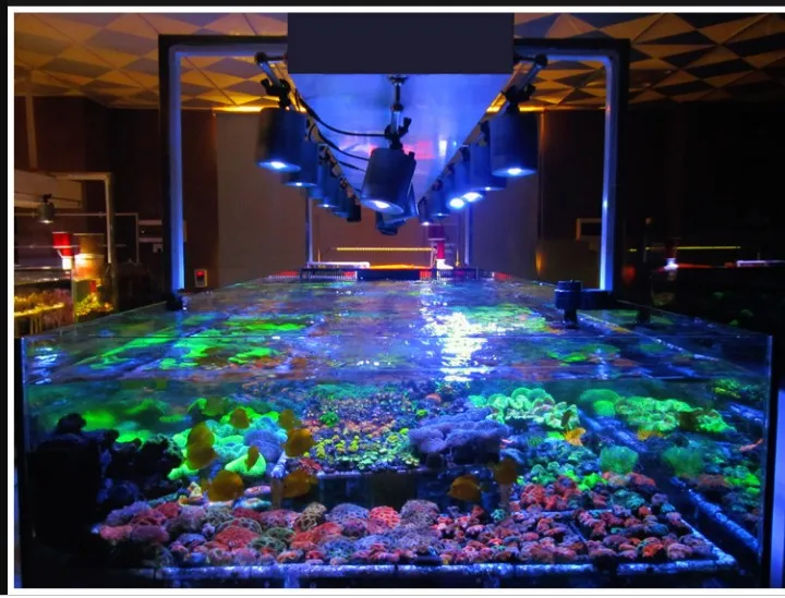 Aquarium seawater Coral Light 30W 70W Sea water Sunrise sunset Full