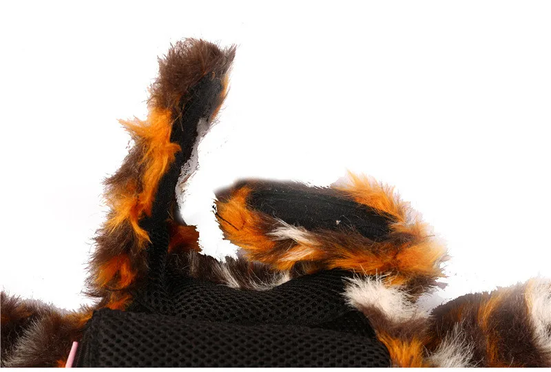 pet 10