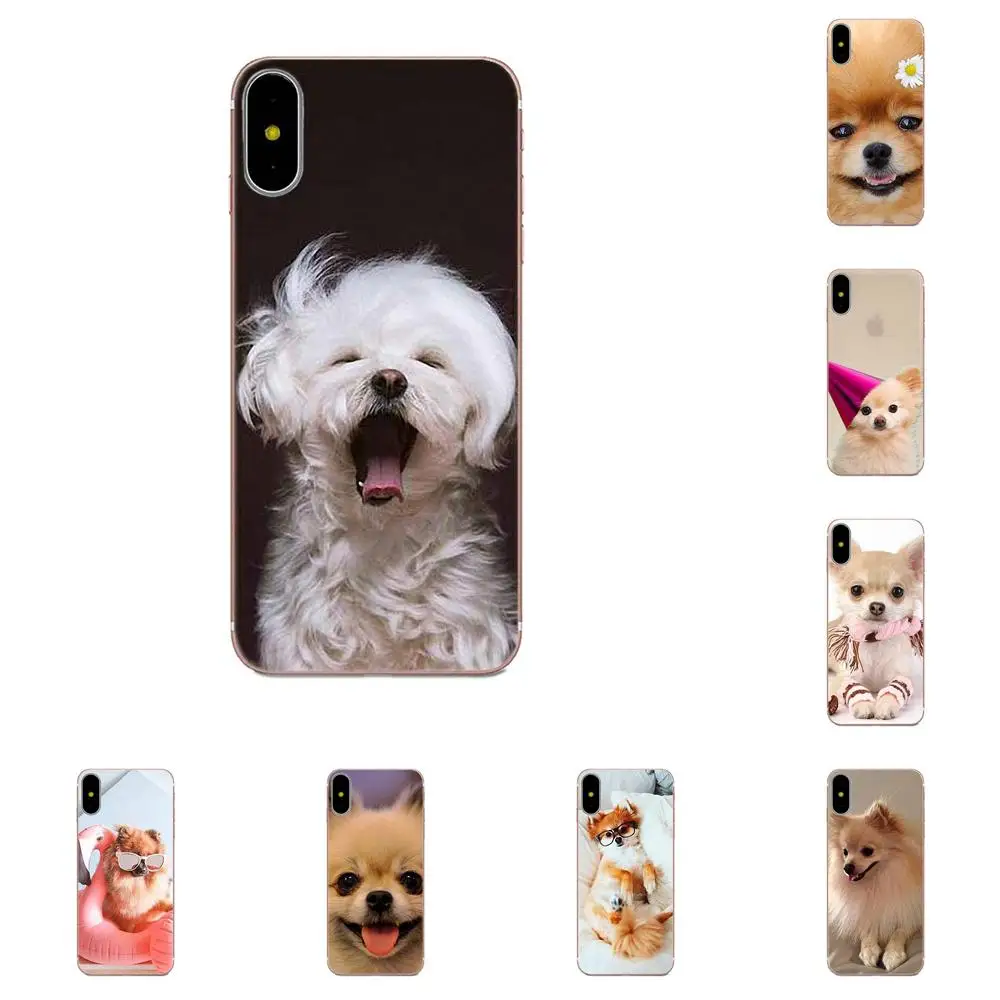 Цветной постер для Sony Xperia Z Z1 Z2 Z3 Z4 Z5 compact Mini M2 M4 M5 T3 E3 E5 XA XA1 XZ Premium Pomeranian Dogs