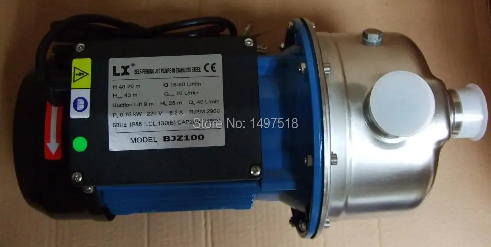 PUMP BJZ100 1206 02 SIDE VIEW.JPG