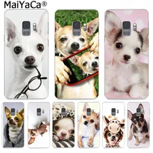coque samsung s9 chihuahua coque samsung s9 chihuahua
