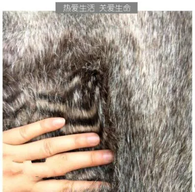 QQ20180601193721_meitu_21