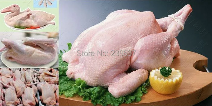 poultry plucker (4).jpg