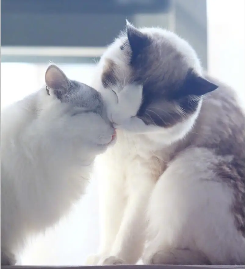 QQ20170413151907