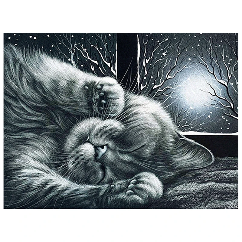 LIEX30006065猫40X30