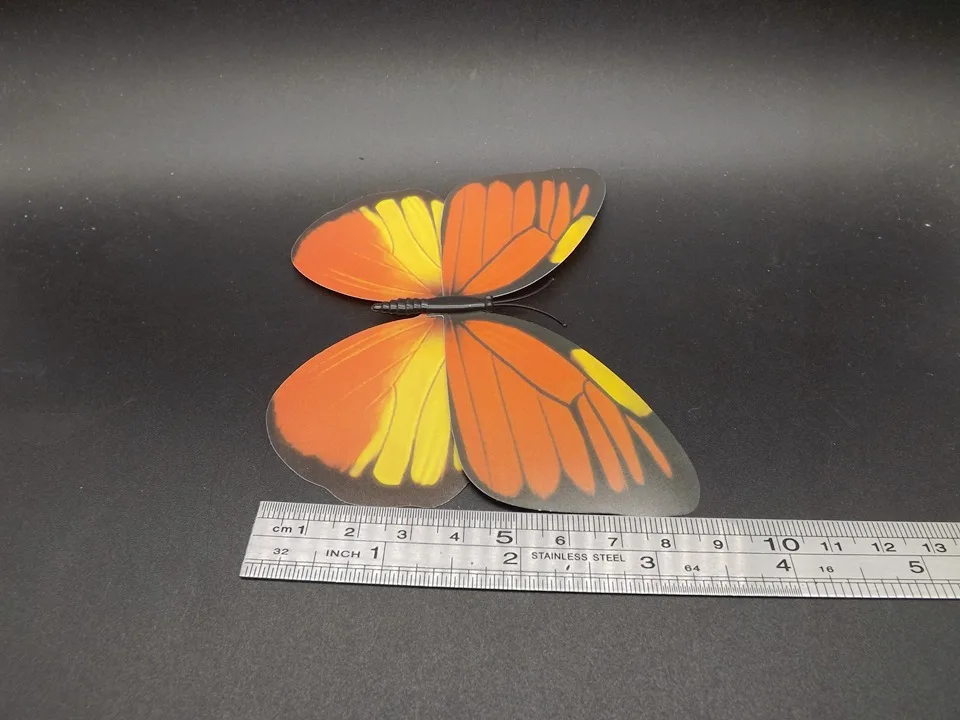 I229-Butterfly (10)
