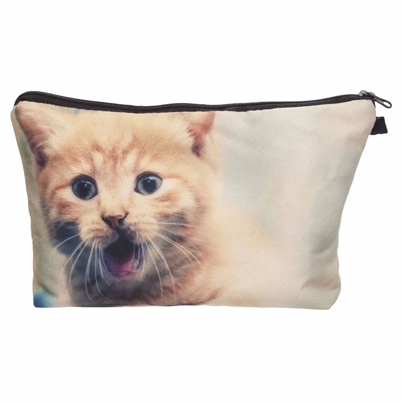 36955 kitten2 001