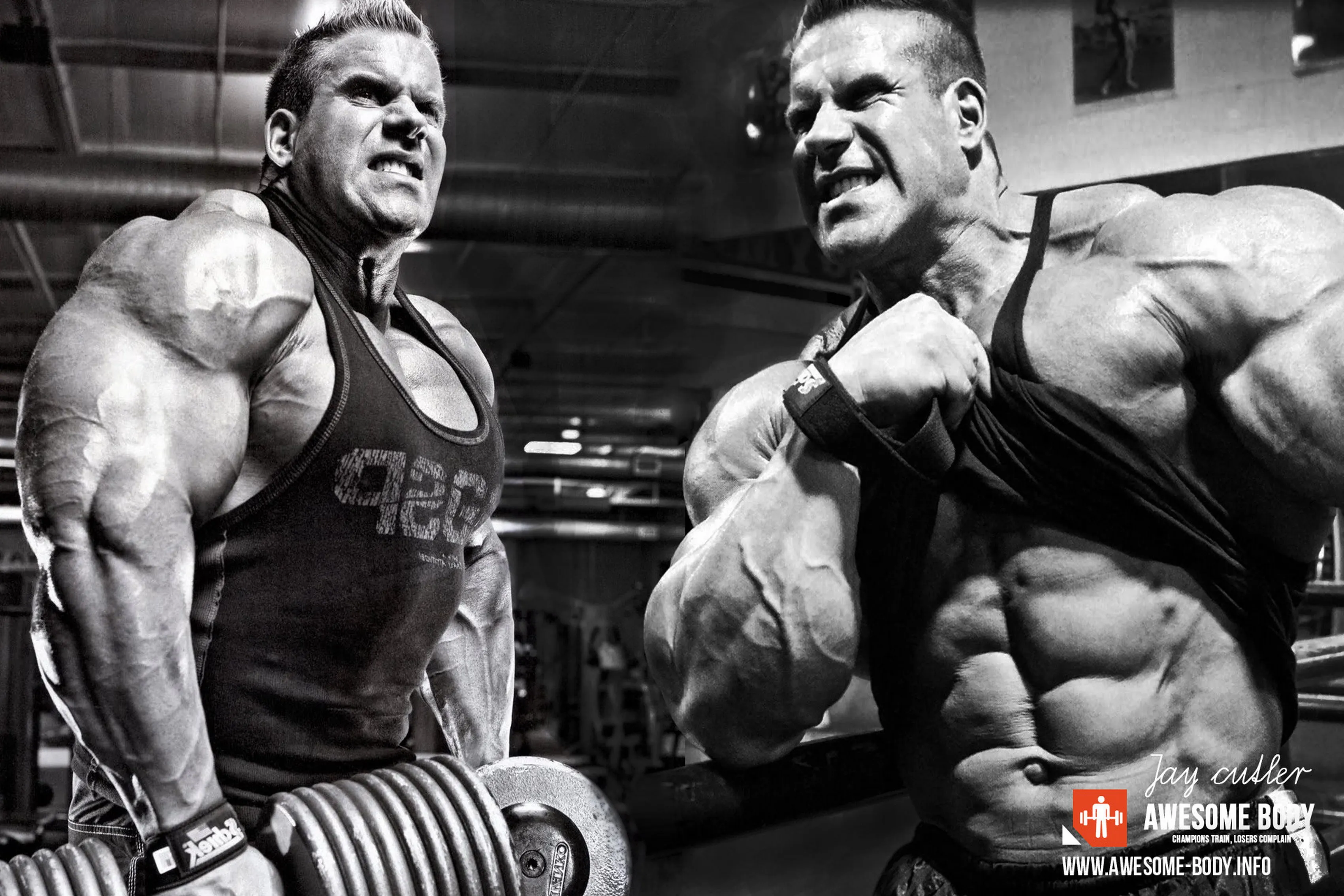 

Home decoration Jay Cutler poster bodybuilding Silk Fabric Poster Print YR238