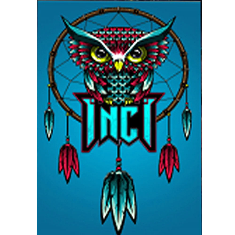 

DIY special owl diamond painting special owl animals dimaond embroidery full drill owl diamond painting mosaic full round drill